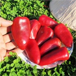 Перец Сладкая Помада — Pepper Sweet Lipstick (10 семян)