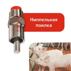 Поилка ниппельная для свиней, диаметр резьбы 1/2", металлическая , Greengo