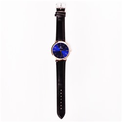 Часы наручные WH043-03 (black/blue)