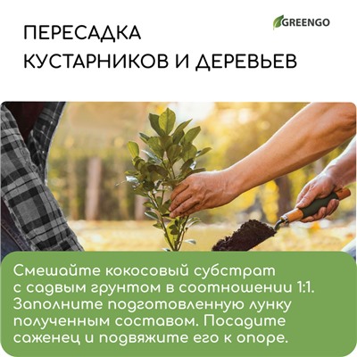 Субстрат кокосовый в брикете, 65 л, универсальный, Greengo