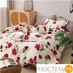 TPIG4-1852 КОД1050 Twill 1,5 спальный 1,5-спальный 50x70 (1 шт), 70x70 (1 шт) Сатин (Твил) Коробка