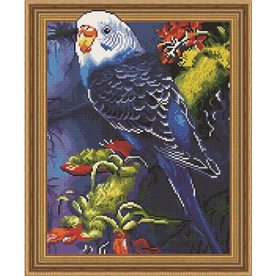 Алмазная картина на подрамнике Волнистый попугайчик 40х50