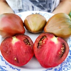 Помидоры Пурпурное Сердце Лилипута — Dwarf Purple Heart Tomato (10 семян)
