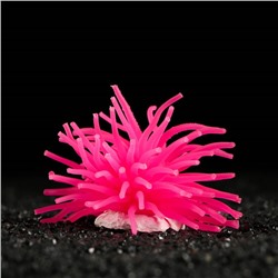 Декоративный анемон для аквариума, 8 х 5 см, розовый