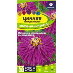 Цинния Лиловый Император кактусовидная/Сем Алт/цп 0,2 гр.