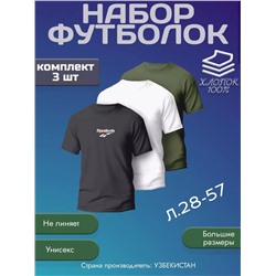 НАБОР ФУТБОЛКА МУЖСКАЯ (РАЗНОГО ЦВЕТА), код 4690899