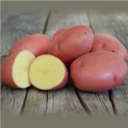 Картофель семенной Розара элита (4 кг)