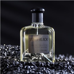 Туалетная вода мужская Colour ssncs Silvr Black, 100 мл (по мотивам Egoiste Platinum (Chanel)