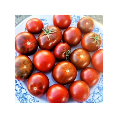 Помидоры Брауни Шоколадно-Вишнёвое Пироженое — Chocolate Cherry Brownie Tomato (10 семян)