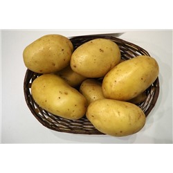 Картофель местный Крепыш 5кг/сетка
