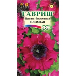 Петуния Бордовая бахромчатая