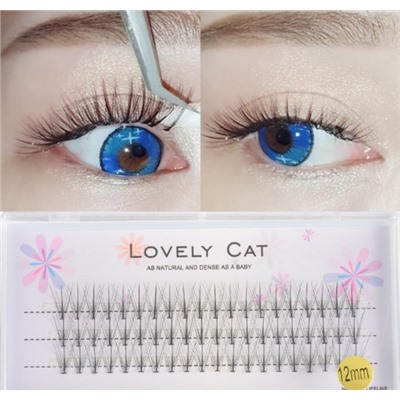 Ресницы для наращивания LovelyCat 0,07 мм изгиб С 10 шт в пучке