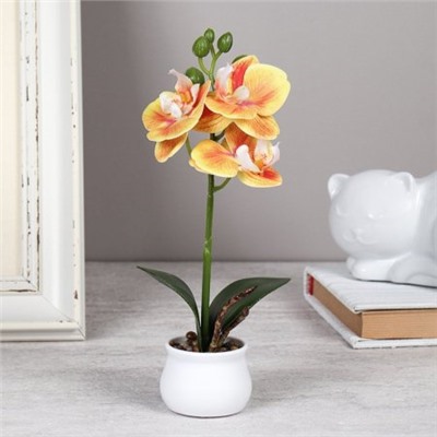 Цветочная композиция Орхидея 22 см / LM-796 /уп 144/