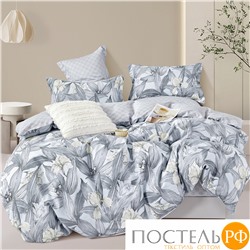 TPIG2-1813-50 КОД1049 Twill 2 спальный 50x70 (2 шт) Сатин (Твил) Коробка