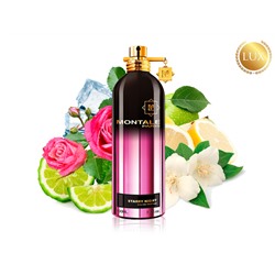 (LUX) Montale Starry Night EDP 100мл