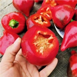 Перец Сердцевидный Леся- Lesia Pepper (10 семян)