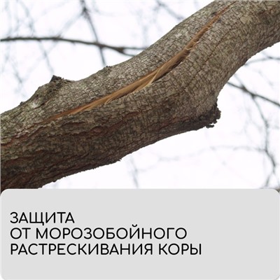 Лента для подвязки растений, 10 × 0,02 м, плотность 60 г/м², набор 2 шт., спанбонд с УФ-стабилизатором, белая, Greengo, Эконом 20%