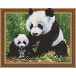 Алмазная картина на подрамнике  Панды в лесу 40х50
