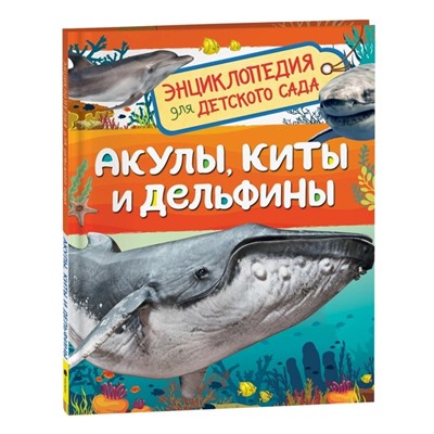 Акулы, киты и дельфины. Клюшник Л.В.