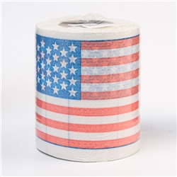 Сувенирная туалетная бумага "Американский флаг США", 9,5х10х9,5 см