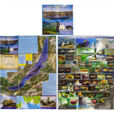 Буклет познавательный с картой Подводный мир Байкала 74*70 см