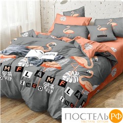 КПБ CL HOME Поплин "Pure Cotton" полуторный 145*215*1 150*220*1(±5) 70*70*2(±2) в ПВХ 15/310-PC/CL