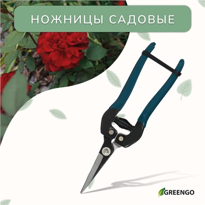 Ножницы садовые, 8" (20 см), с пластиковыми ручками, Greengo