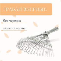 Грабли веерные, проволочные, 22 зубца, оцинкованные, тулейка 25 мм, без черенка