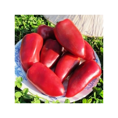 Перец Сладкая Помада — Pepper Sweet Lipstick (10 семян)
