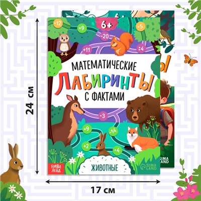 Набор книг «Математические лабиринты с фактами», 2 книги по 36 стр., 6+