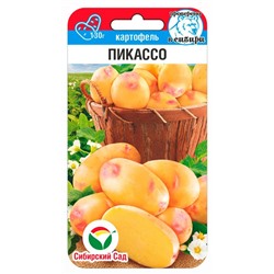 Картофель Пикассо