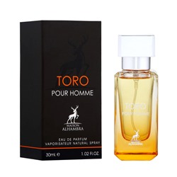 Парфюмерная вода мужская Toro Pour Homme (по мотивам Hermes Terre D'Hermes), 30 мл