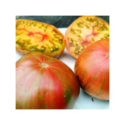 Помидоры Мятные Пёстрые Лилипуты — Dwarf Peppermint Stripes Tomato (10 семян)