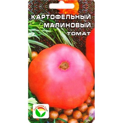 Томат Картофельный малиновый