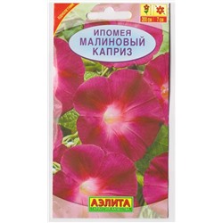 Ипомея Малиновый каприз