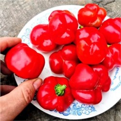 Перец для начинки Мамми Хубер -Mammi Huber’s Stuffing Pepper (10 семян)