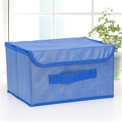 Короб для хранения с крышкой «Фабьен», 26×20×16 см, цвет синий