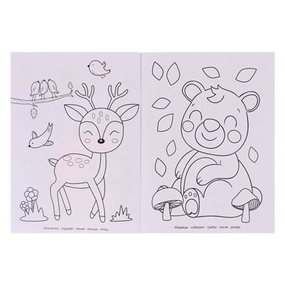 Раскраска «Забавные животные»