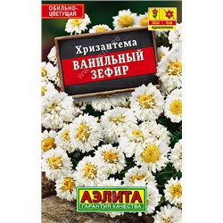 Хризантема Ванильный зефир (лидер)