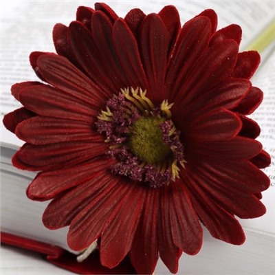 Цветок искусственный Гербера 43 см бордовый / 1501 /уп 56/560/ латэкс