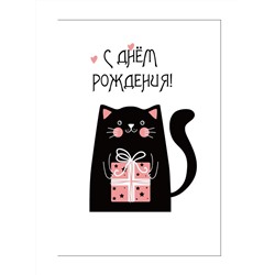 Пакет бумажный подарочный L "С Днем рождения. Черный кот с подарком" белый 23x11x33 см (021)