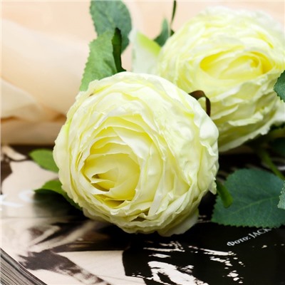 Цветы искусственные "Роза грация" 7х57 см, молочный