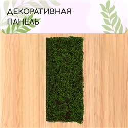 Декоративная панель, 90 × 40 см, «Ряска», Greengo