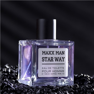 Туалетная вода мужская Maxx Man StarWa, 100 мл (по мотивам Egoiste Platinum (Chanel)