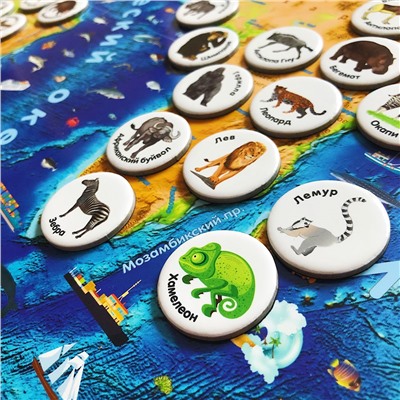 2 в 1: магнитный геопазл «Карта мира» + игровой набор «Животные мира»