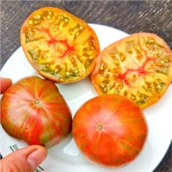 Помидоры Мятные Пёстрые Лилипуты — Dwarf Peppermint Stripes Tomato (10 семян)
