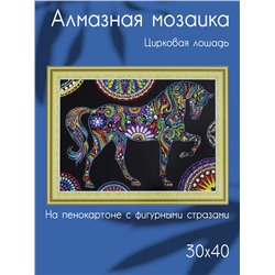 Алмазная картина на пенокартоне с фигурными стразами Цирковая лошадь-хранительница 30х40
