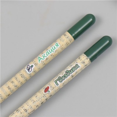 Растущие подарочные карандаши mini "Акация и гвоздика" набор 2 шт