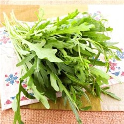 Китайская Горчичная Руккола — 芝麻菜 (100 семян)