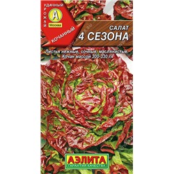 Салат 4 сезона кочанный